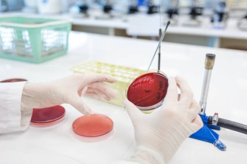 ACI-Techniques-and-Cell-Culturing-Methods.jpg