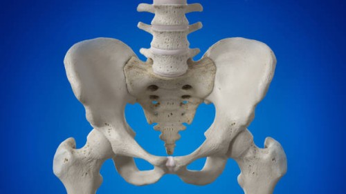 Guide-to-Recovery-After-Periacetabular-Osteotomy.jpg