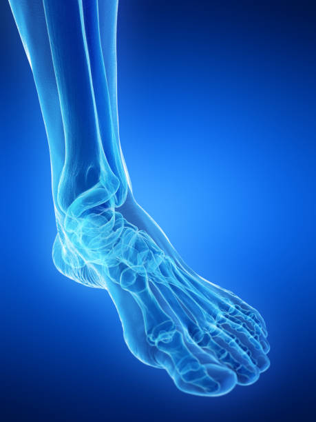 Knee-and-Ankle-Cartilage-Defects.jpg