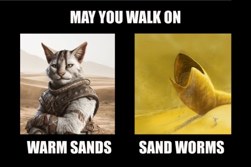 may-yo-walk.jpg