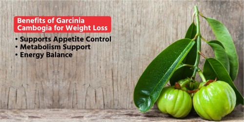 Shri-Ahmisa-Natural-Caffeine-Garcinia-Cambogia-benefits.jpg