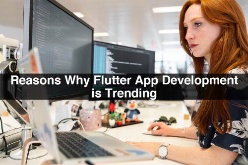 Reasons-Why-Flutter-App-Development-is-Trending.jpg