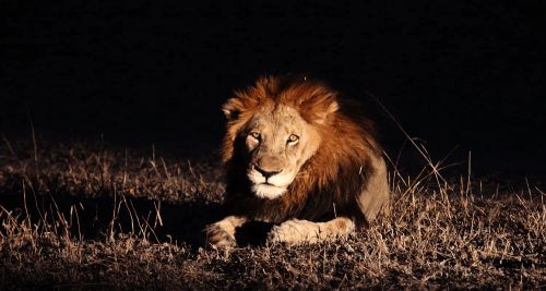 rsz_kenya_3rd_g.png