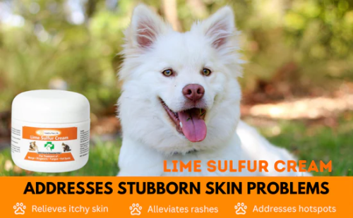 LimeSulfurShampoo_3d8622ad-8114-415c-9e93-e5ba77f550e1_550x.png