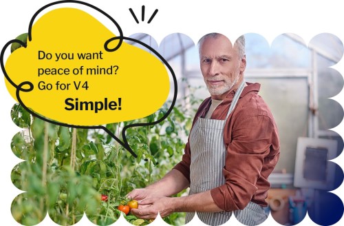 9-Simple-Peace-of-Mind.jpg