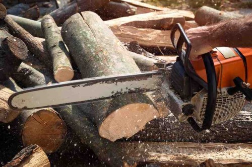 lumberjack-cutting-wood-with-chainsaw-1.jpg
