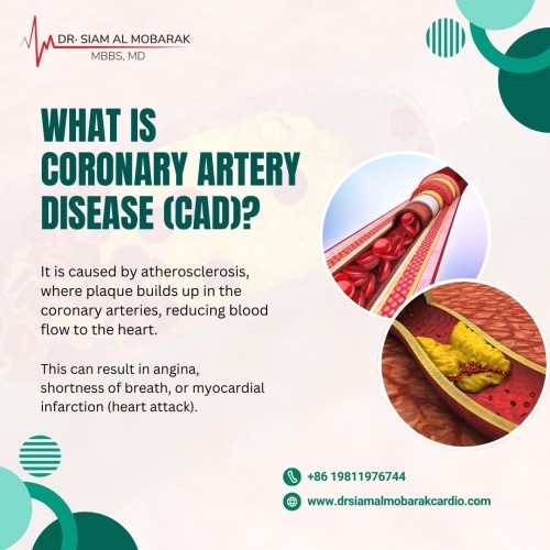 dr-siam--cad-1.jpg