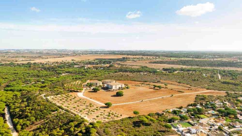 aerial-view-rural-landscape-crops-field-1.jpg