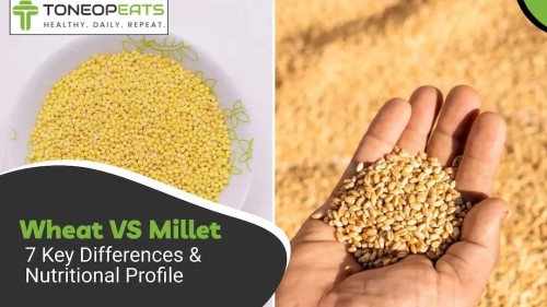 Wheat_VS_Millet_7_Key_Differences_and_Nutritional_Profile_ba12a8d8e6-ezgif.com-webp-to-jpg-converter.jpg