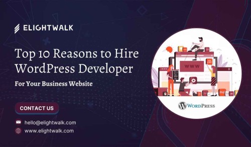 Top-10-Reasons-to-Hire-WordPress-Developer-for-Your-Business-Website.jpg