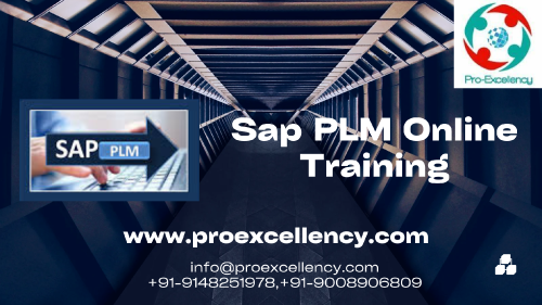 Sap-PLM-Online-Training-im.png