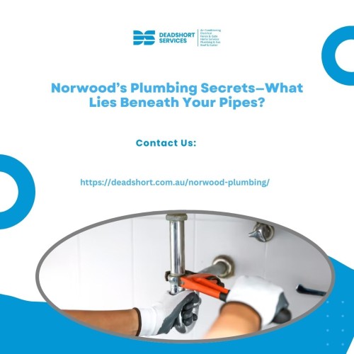 Norwoods-Plumbing-SecretsWhat-Lies-Beneath-Your-Pipes.jpg