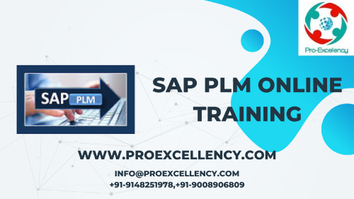 Sap-PLM-Online-Training-image-3.png