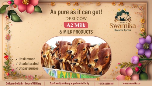 swarnika-banner.jpg