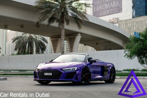 CarRentalsinDubai6.jpg