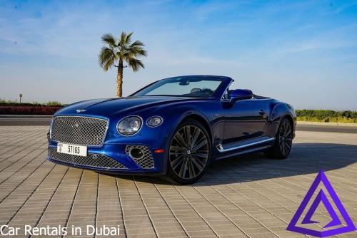 CarRentalsinDubai8.jpg