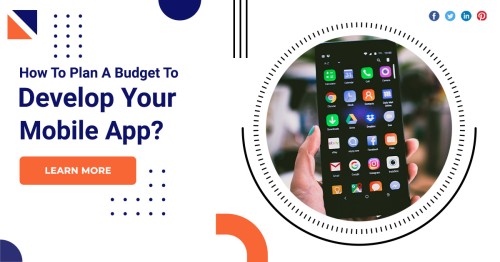 How-To-Plan-A-Budget-To-Develop-Your-Mobile-App.jpg