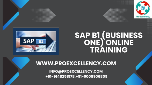 SAP-B1-Business-One-Online-Training-1.png