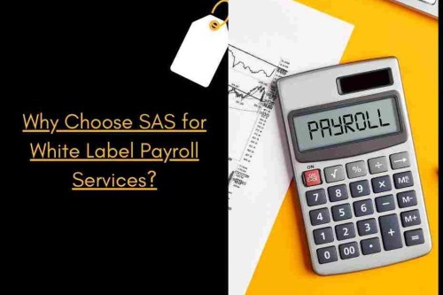 SAS-for-White-Label-Payroll-Services-930x620.jpg