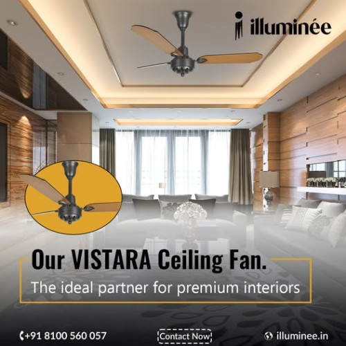 vistara.jpg