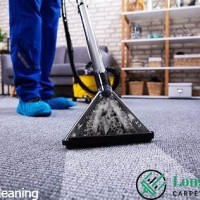 CarpetCleaning7