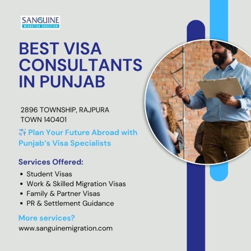 Best-visa-consultant-punjab.jpg