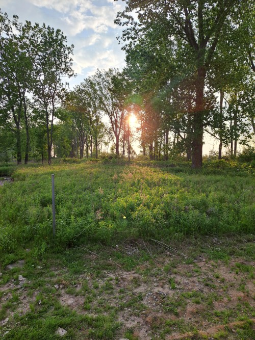 LLphoto0725.jpg
