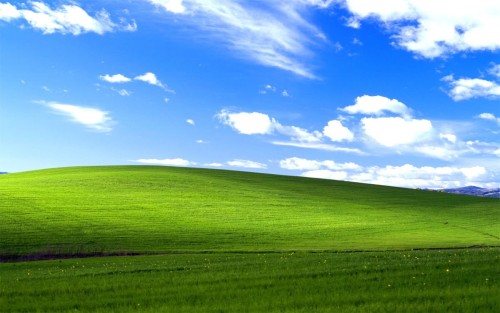 42C6E923-2E06-4D26-8E6E-2E533E73EA0A.jpg