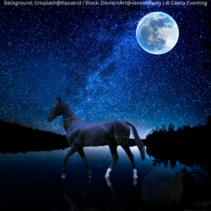 Background-UnsplashStevan-Kamenar-Stock-DeviantArtChunga-Stock-300-x-300-px-4.png
