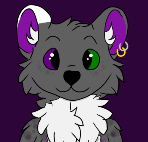 Onex-face.png