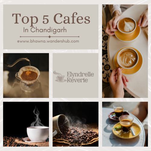 Top-5-Cafes.png