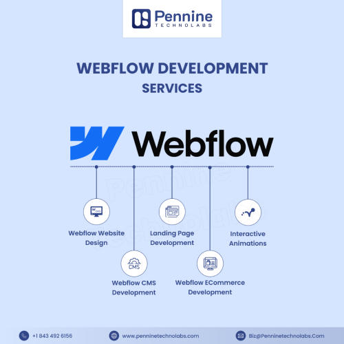 Webflow-Development-Company-1.png