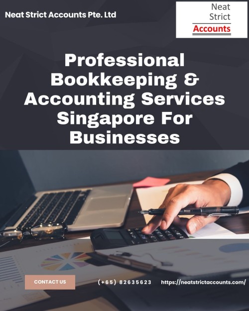 Professional-Bookkeeping--Accounting-Services-Singapore-For-Businesses.jpg