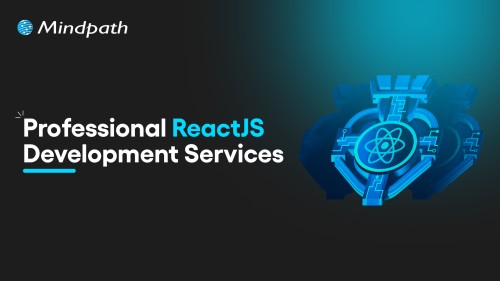 Professional-ReactJS-Development-Services-1.jpg