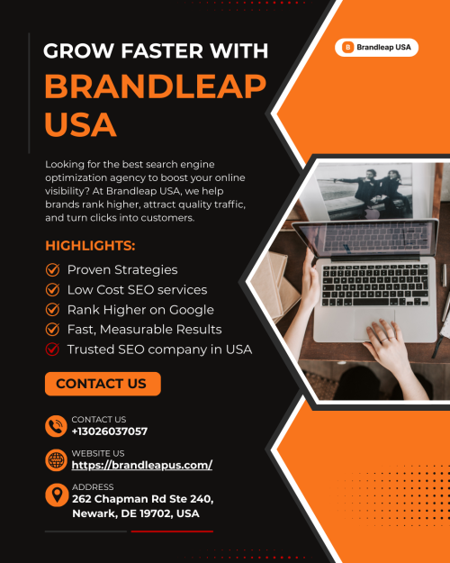 brandleap-usa-seo-agency.png