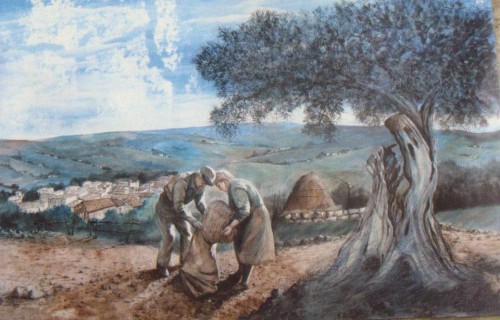 castellanaulivoecampanile.jpg