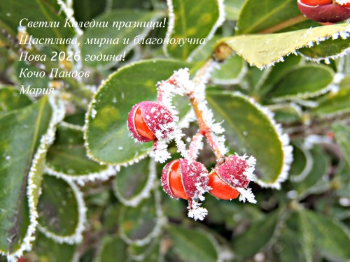 Merry-Christmas-2026.jpg