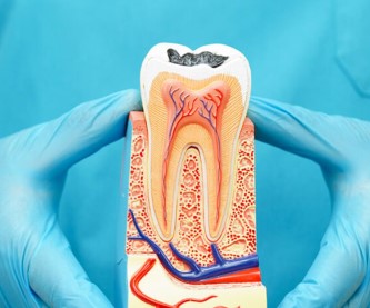 Get-Dental-Care-in-Ridgewood-By-Myrtle-Family-Dentistry.jpg