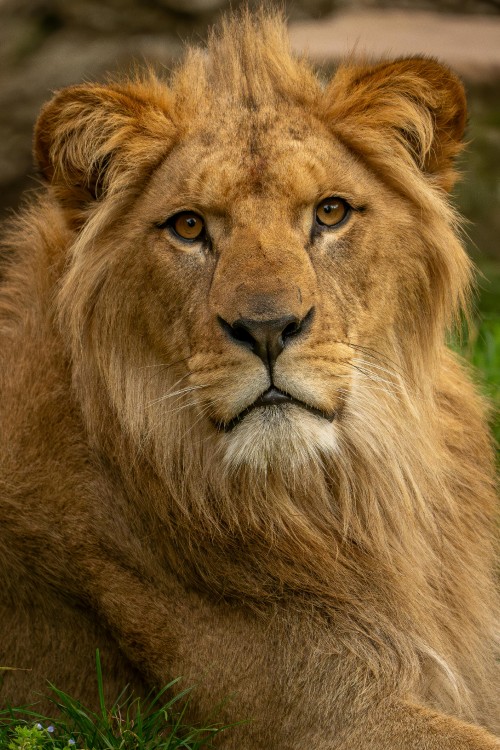 pexels-leon-aschemann-734730704-29186270.jpg