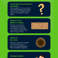 Infographics-for-South-Shore-IPM-1