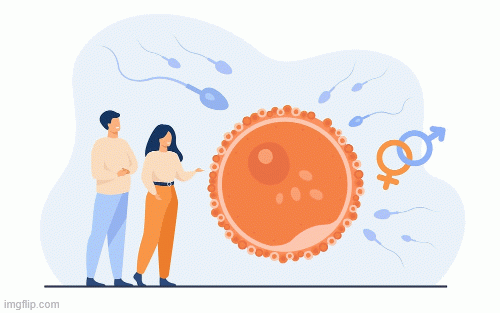 best-ivf-clinic-in-odisha.gif