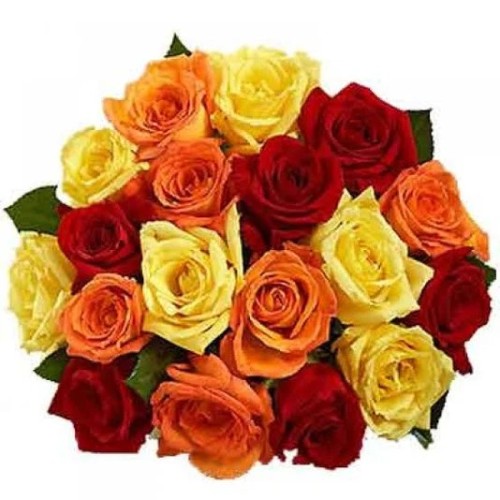 imgi_8_20MIXED-ROSE-BUNCH_534x.jpg