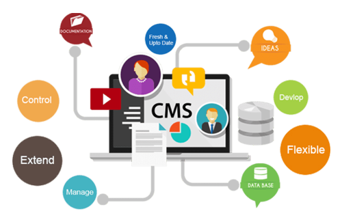 cms-website-design-4.png