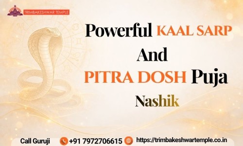 Kaal-Sarp-And-Pitra-Dosh-Puja-Nashik.jpg