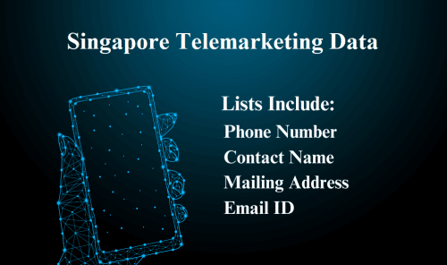Singapore-Telemarketing-Data.png