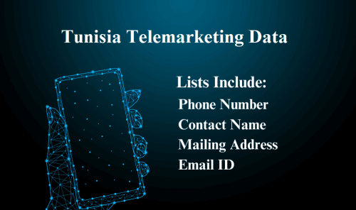 Tunisia-Telemarketing-Data.png