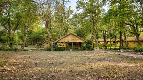 best-resorts-in-Jim-Corbett.jpg